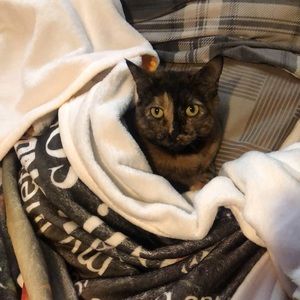 Meet your Posher, Katelyn